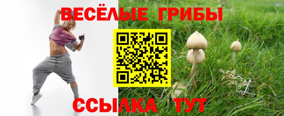 Псилоцибиновые грибы GOLDEN TEACHER Строитель